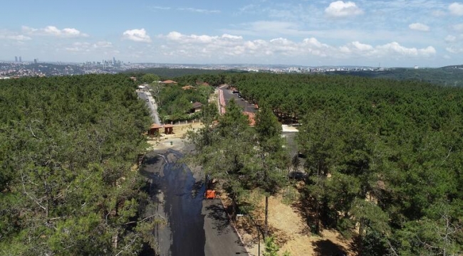 İstanbul'un En Büyük Piknik Alanı Açıldı