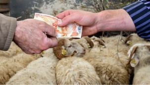 Kurban'da Karşılaşabileceğiniz Dolandırıcılık Yöntemleri