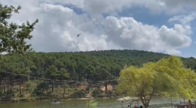 Aydosta Artan Orman Yangıları