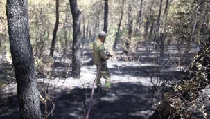 Aydostaki Yangın Korkuttu