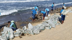 Plajlar Temizleniyor 