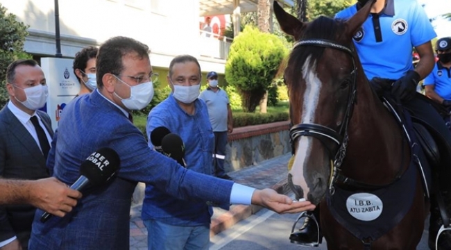 Atlı Zabıtalar Geliyor