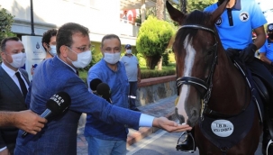 Atlı Zabıtalar Geliyor 