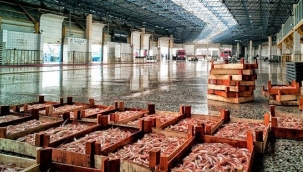 Balıkçılara İBB'den Destek