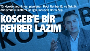 "Kosgeb'e Bir Rehber Lazım" 