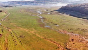 Son On Yılın En Düşük Seviyesinde