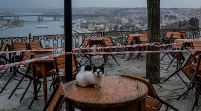 Cafe ve Restoranlar Hazırlıklara Başladı