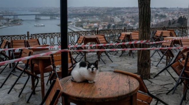 Cafe ve Restoranlar Hazırlıklara Başladı 