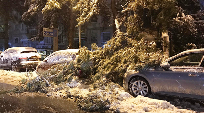 İstanbul'da Kar Kalınlığı 30cm Oldu