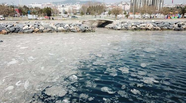 Pendik Kartal Sahilinde Endişelendiren Görüntü 