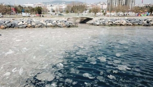 Pendik Kartal Sahilinde Endişelendiren Görüntü 