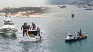 Boğazda Salyagoz Yoğunluğu 