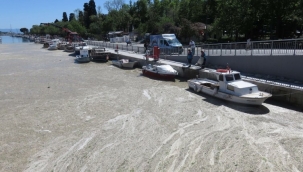 Deniz Salyası Tehlikesi Devam Ediyor 