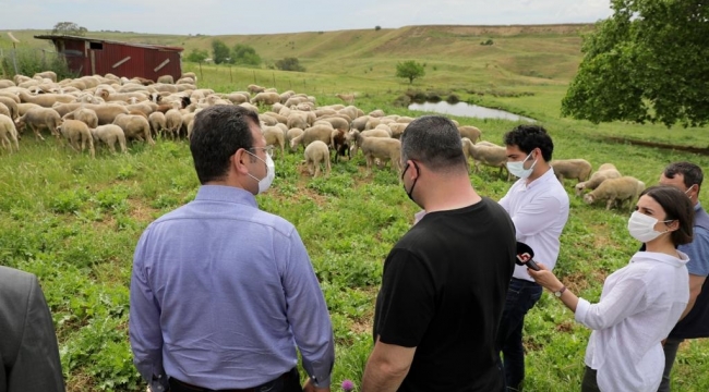 İBB'den Hayvan Üreticilerine Destek
