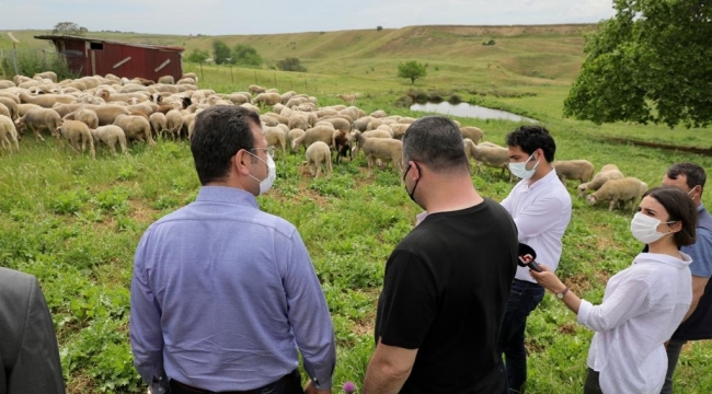 İBB'den Hayvan Üreticilerine Destek 