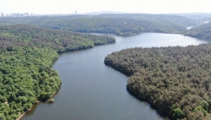 İstanbul'da Elmalı Barajı'nda rekor doluluk oranı