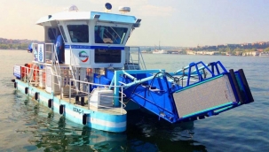 Marmara'da deniz salyasına karşı ortak mücadele