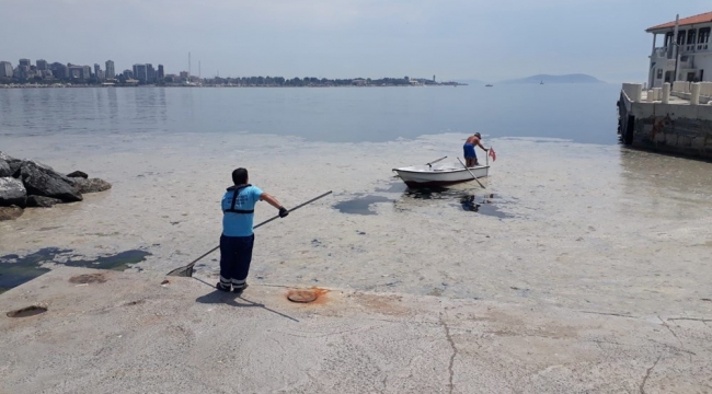 Deniz Salyası Anadolu Yakası'nda Artıyor 