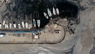 Musilaj Hala Devam Ediyor 