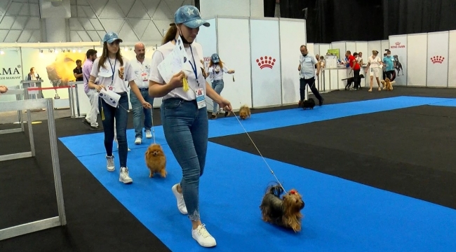 Evcil Hayvan Fuarı kapılarını ziyaretçilere açtı