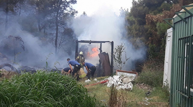 İSTANBUL İstanbul Maltepe'de orman yangını