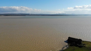Güzel Haber! Yüzde 80'i geçti