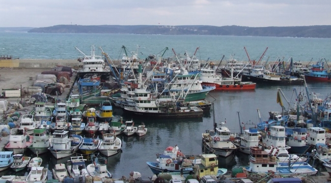 İstanbul'un balık ihtiyacının yüzde 40'ını Sarıyer'deki balıkçılar karşılıyor