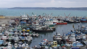 İstanbul'un balık ihtiyacının yüzde 40'ını Sarıyer'deki balıkçılar karşılıyor