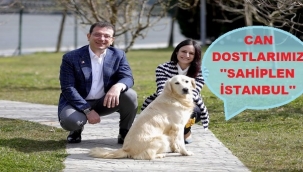  'Can dostlarımızı sahiplen İstanbul' projesi