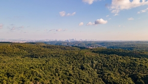 İBB'den Yeni Proje "Koru İstanbul"