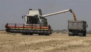 Tahıl Zirvesi Yapılıyor 