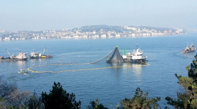 Boğazda Balık Avcılığına Kapatılacak 