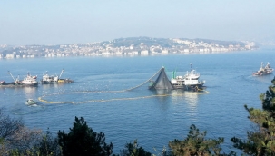 Boğazda Balık Avcılığına Kapatılacak 
