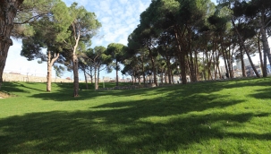 Kartal Bayram Demirkol Parkı 2. Etap Çalışmalarında Sona Gelindi