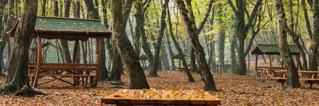 İstanbul'daki Piknik Alanları 