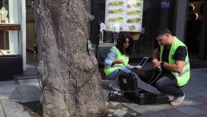 Kartal Belediyesi'nden Çevre ve İnsan Odaklı Uygulama: Akustik Tomografi Yöntemiyle Ağaçların Röntgeni Çekiliyor