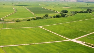 Arsa Satışında Rekor Kırıldı 