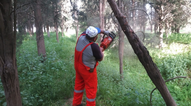 BALIKESİR'DE MEZARLIKLAR BAKIMA ALINDI