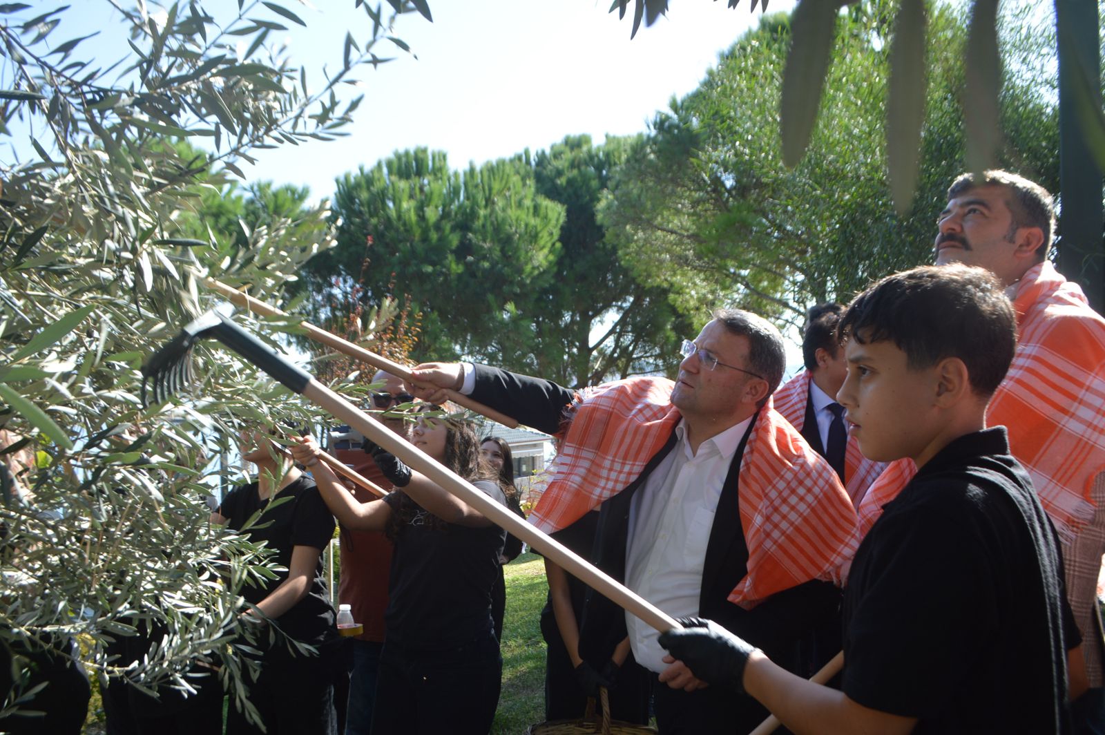AYVALIK'TA ZEYTİNİN BİN YILLIK HİKÂYESİNİ GENÇ ELLER YAZDI