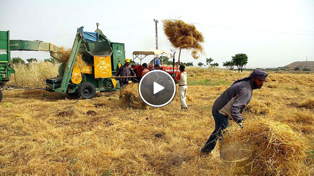 Başbakan'dan Çiftçiye Müjde: Hububat Alım Fiyatını Bin 50 Liraya Çıkardık