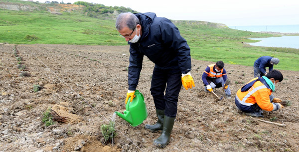 İstanbul'da Lavanta Bahçeleri 