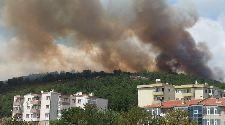 Kartal Aydos'ta Yangın