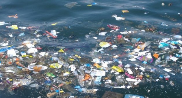 Marmara Denizin'de Kirlilik Kritik Seviyede
