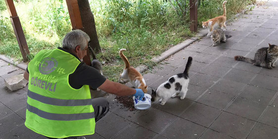 Sokak Hayvanları Onlara Emanet