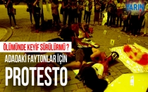 ADADAKİ FAYTONLAR İÇİN PROTESTO