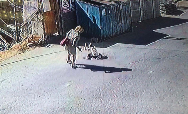 Annesinden Şiddet Gören Çocuk Devlet Korumasına Alındı