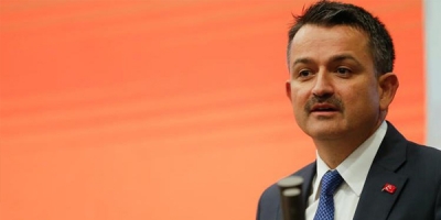 Bakan'dan Ceviz Üretimi Açıklaması