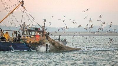 Balıkçılar Çalıştayda Buluşuyor