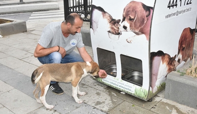 Bir Kap Su, Bir Kap Mama