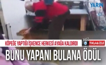 Bunu yapanı bulana ödül verilecek